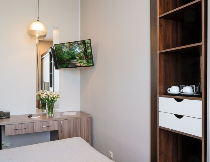 Делюкс - Санаторий «Сестрорецкий курорт» Санкт-Петербург