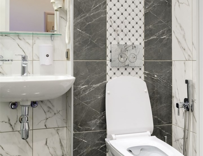 Делюкс - Санаторий «Сестрорецкий курорт» Санкт-Петербург