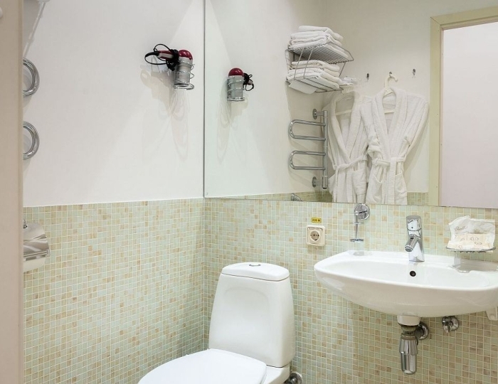 Делюкс - Санаторий «Сестрорецкий курорт» Санкт-Петербург