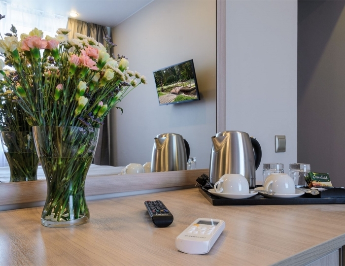 Делюкс - Санаторий «Сестрорецкий курорт» Санкт-Петербург