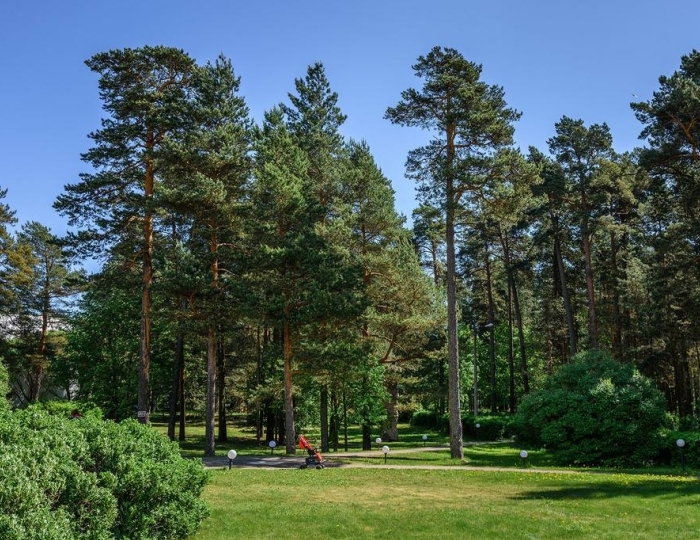 Санаторий «Сестрорецкий курорт» Санкт-Петербург